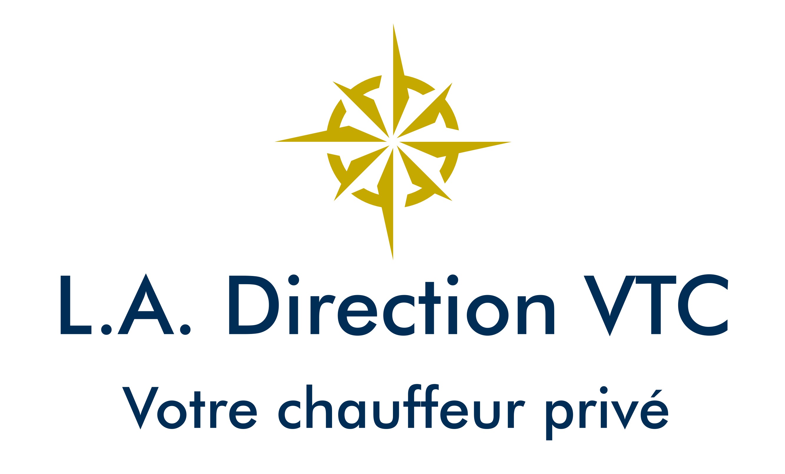 logo LA DIRECTION VTC