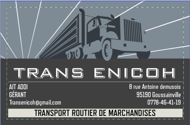 logo TRANS ENICOH