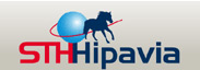 logo STH-HIPAVIA