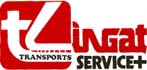 logo LINGAT SERVICE TRANSPORTS